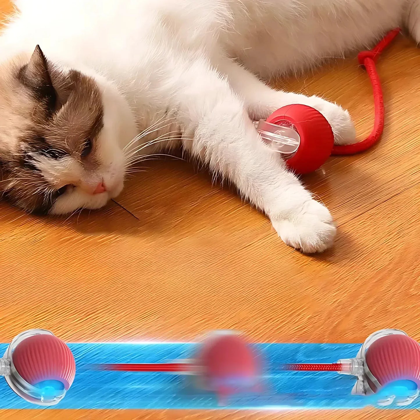 PurrPlay 2.0 Smart Cat Rolling Ball