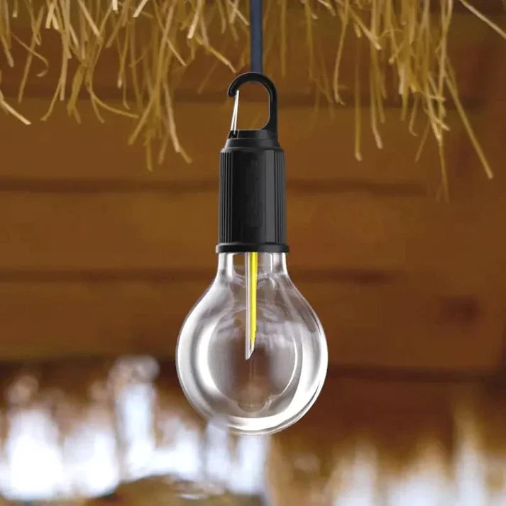 Portable USB Charging Bulb