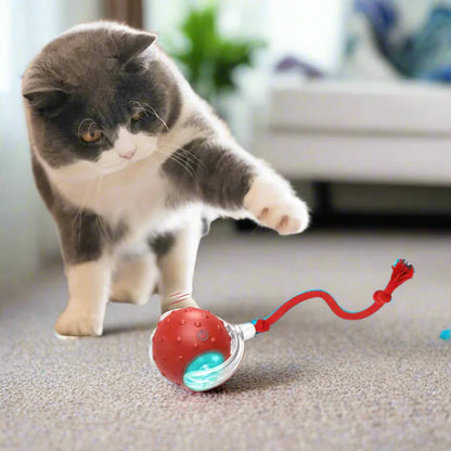 PurrPlay 2.0 Smart Cat Rolling Ball