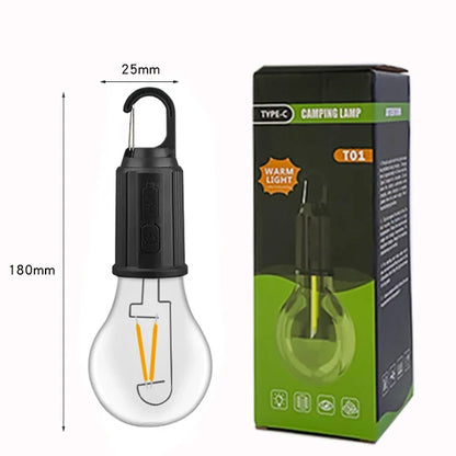 Portable USB Charging Bulb